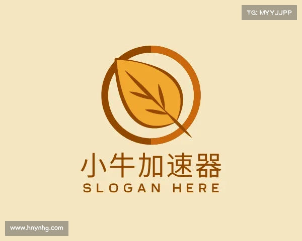 发现小牛加速器